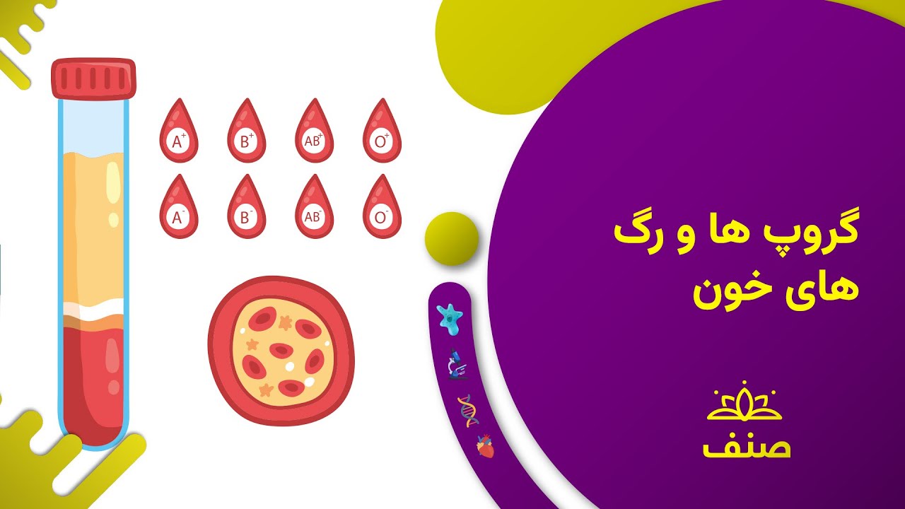 صنف - بیولوژی صنف نهم - درس ۹: گروپ ها و رگ های خون