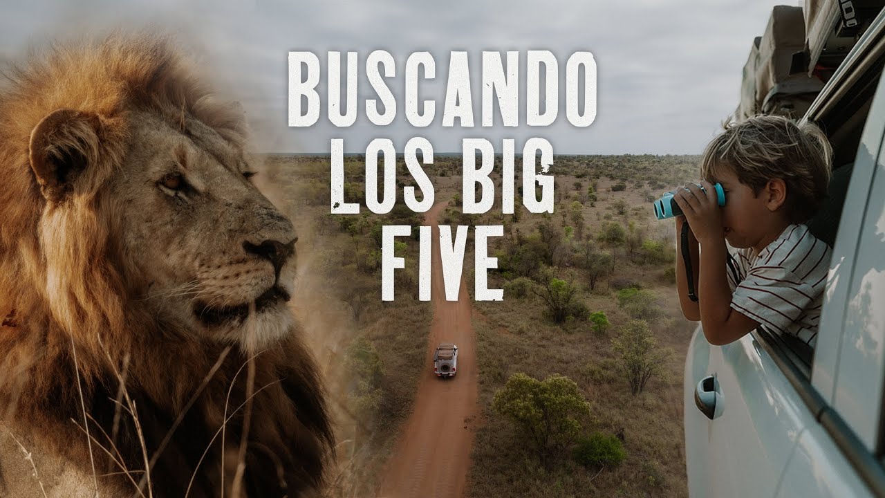 SAFARI POR KRUGER | LA MISIÓN de encontrar los BIG FIVE en SUDÁFRICA