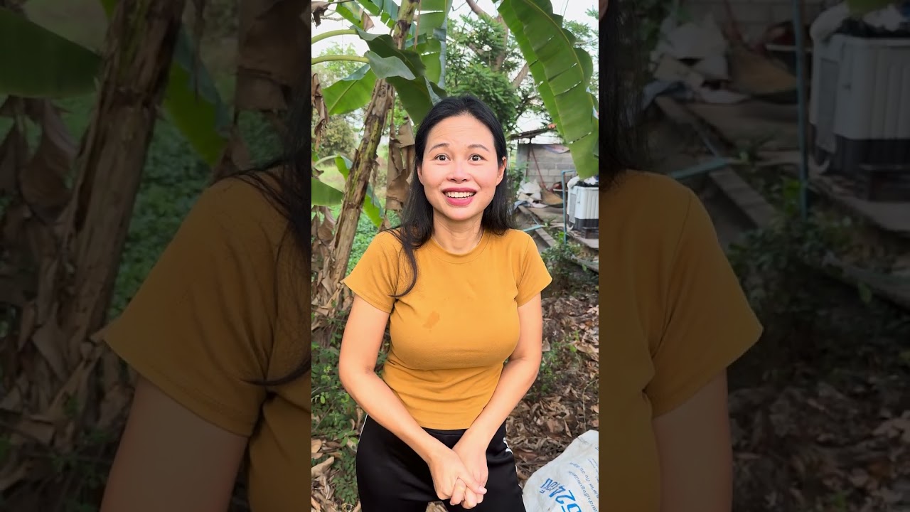 วิธีตัดขนุนลงจากต้นแบบง่ายๆ