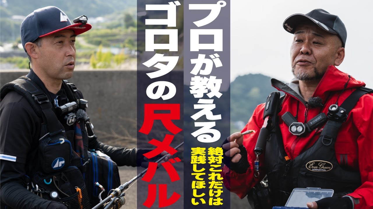 ゴロタで #尺メバル 狙う方に絶対に抑えてほしいポイント～安全装備・タックル・下見～（アジングロッド”ハイレボリューション”S83実釣）【メバリング】【Mebaring】