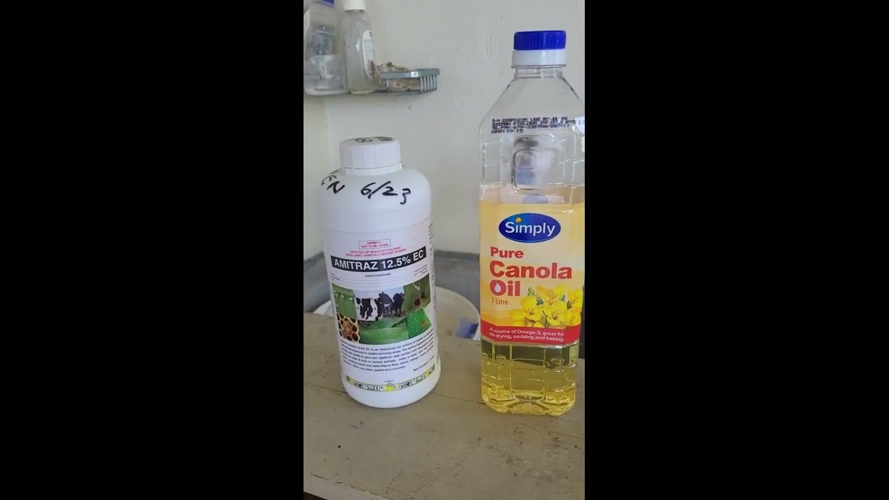 Amitraz to Control Varroa in Fiji