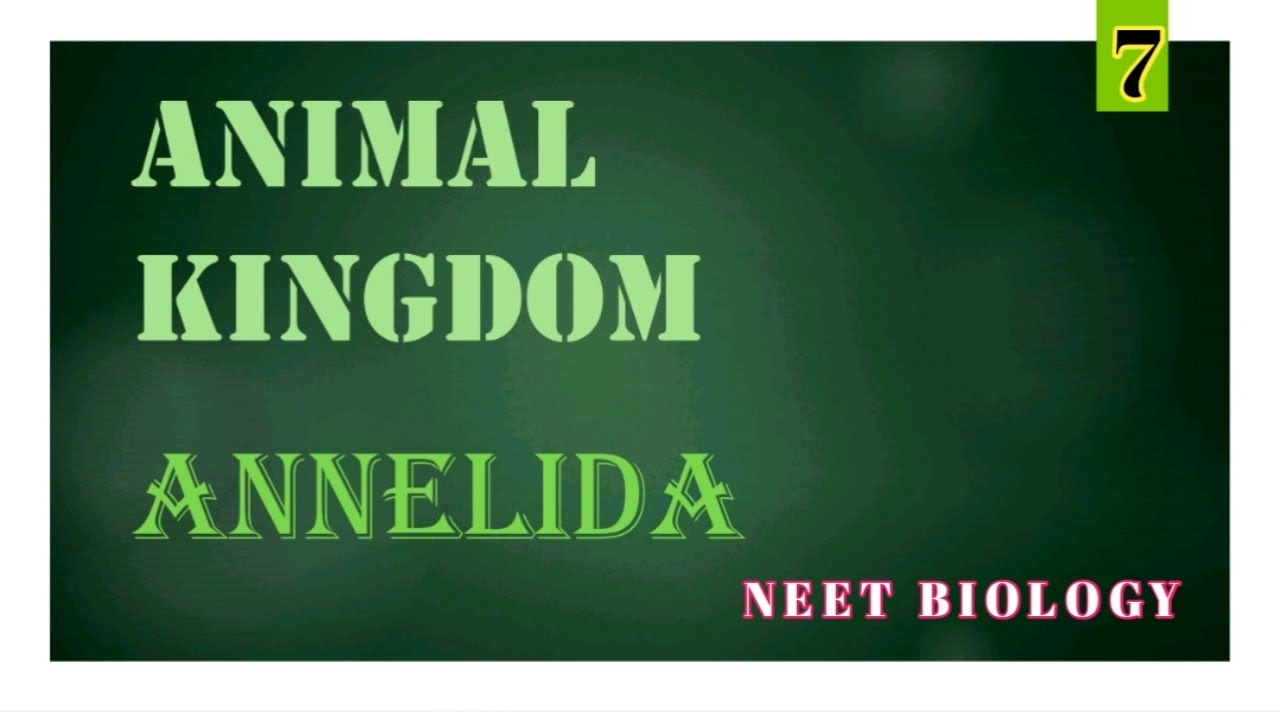 ANNELIDA | ANIMAL KINGDOM | NEET BIOLOGY | BIOLOGY BLOG