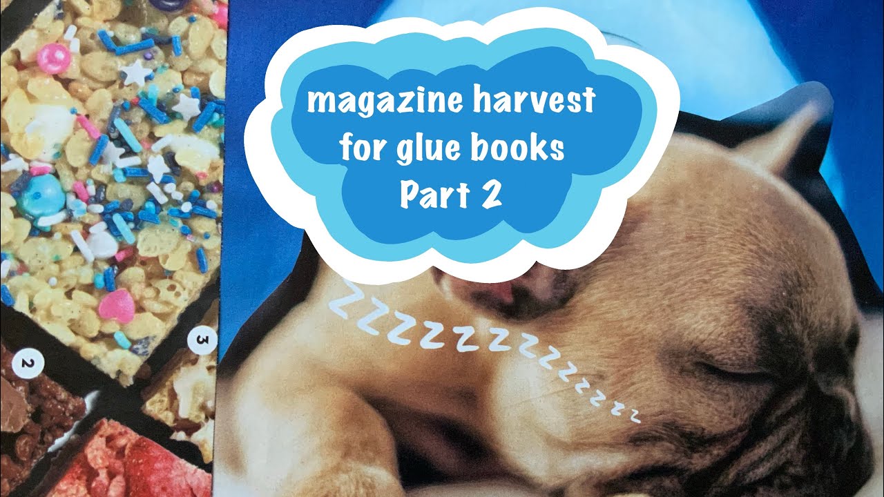flippin’ and rippin’ magazine harvest for glue books Part 2  - searching for images! #gluebook 🐶✨