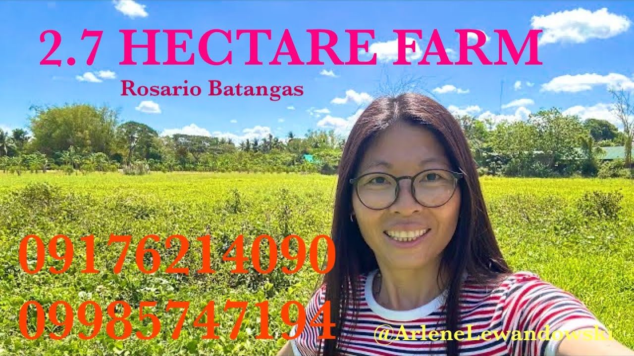 Vlog601: FOR SALE 2.7 HECTARE CALAMANSI FARM IN ROSARIO BATANGAS PHILIPPINES
