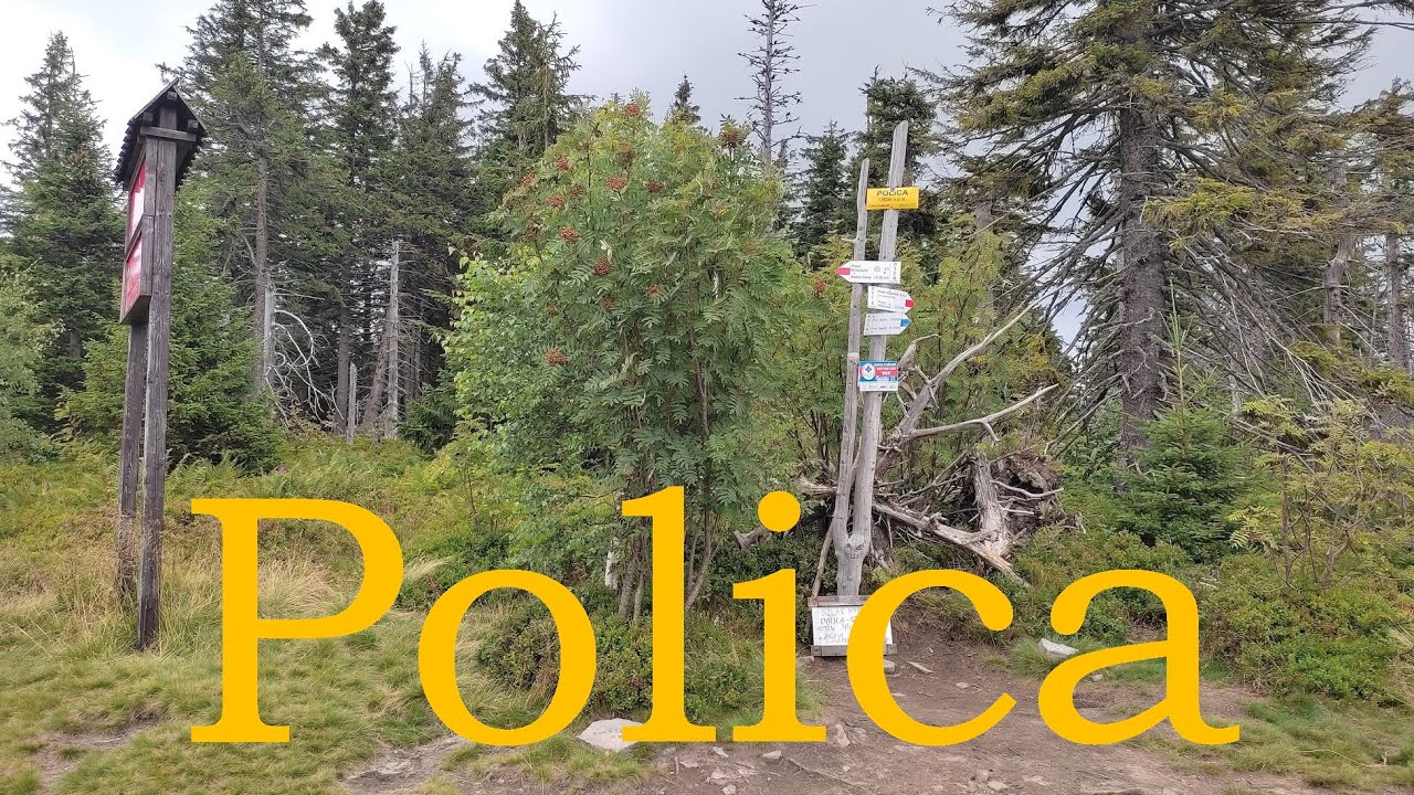 POLICA Z SIDZINY PRZEZ HALĘ KRUPOWĄ 9.08.2022