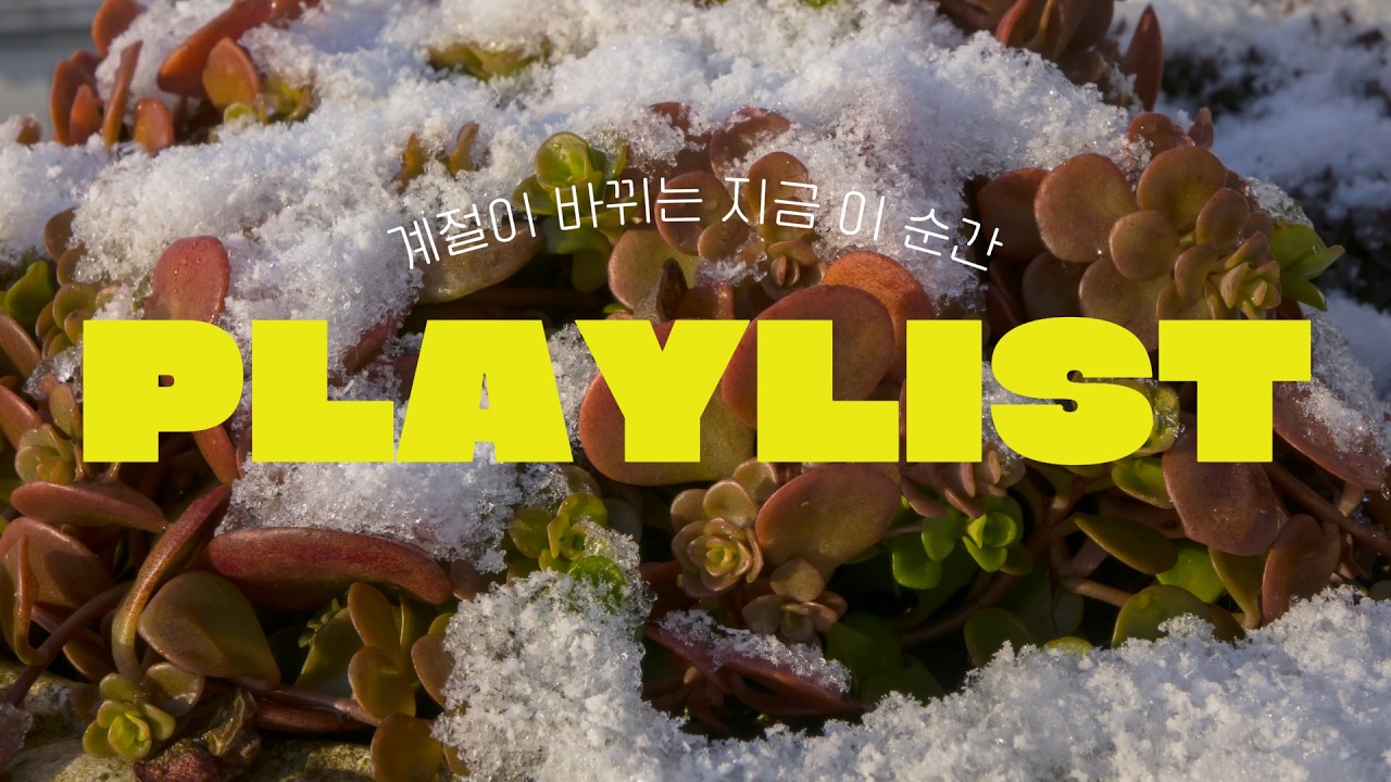 PLAYLIST | 봄이 오기 5분 전 | 봄을 닮은 상큼한 팝감성 플레이리스트