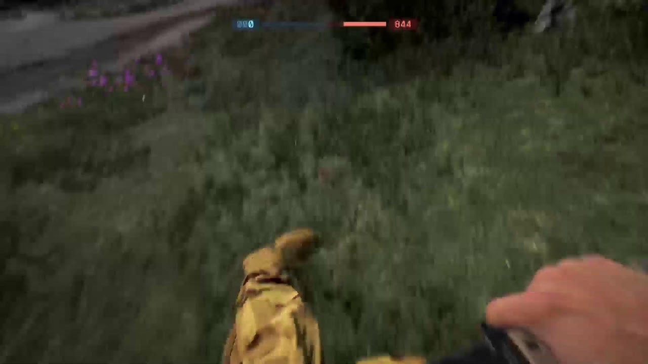 BF6
