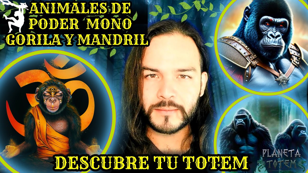 animal de poder mono y su significado espiritual