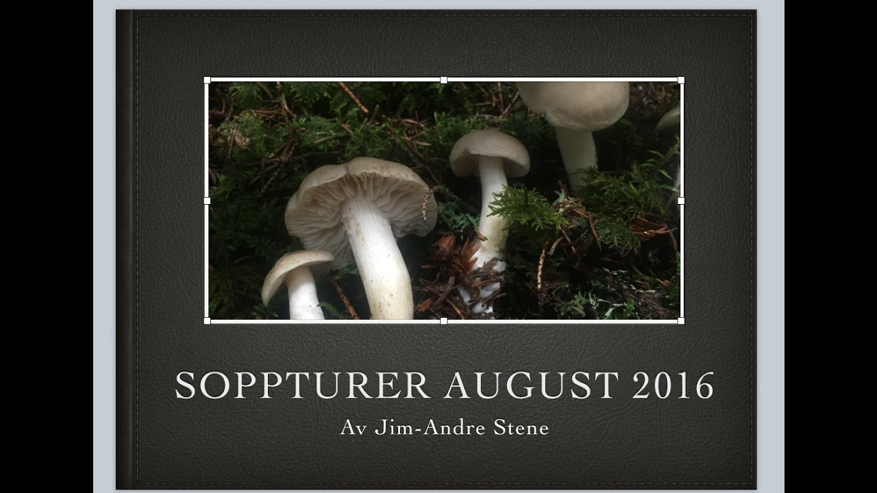 =5= Soppturer August 2016
