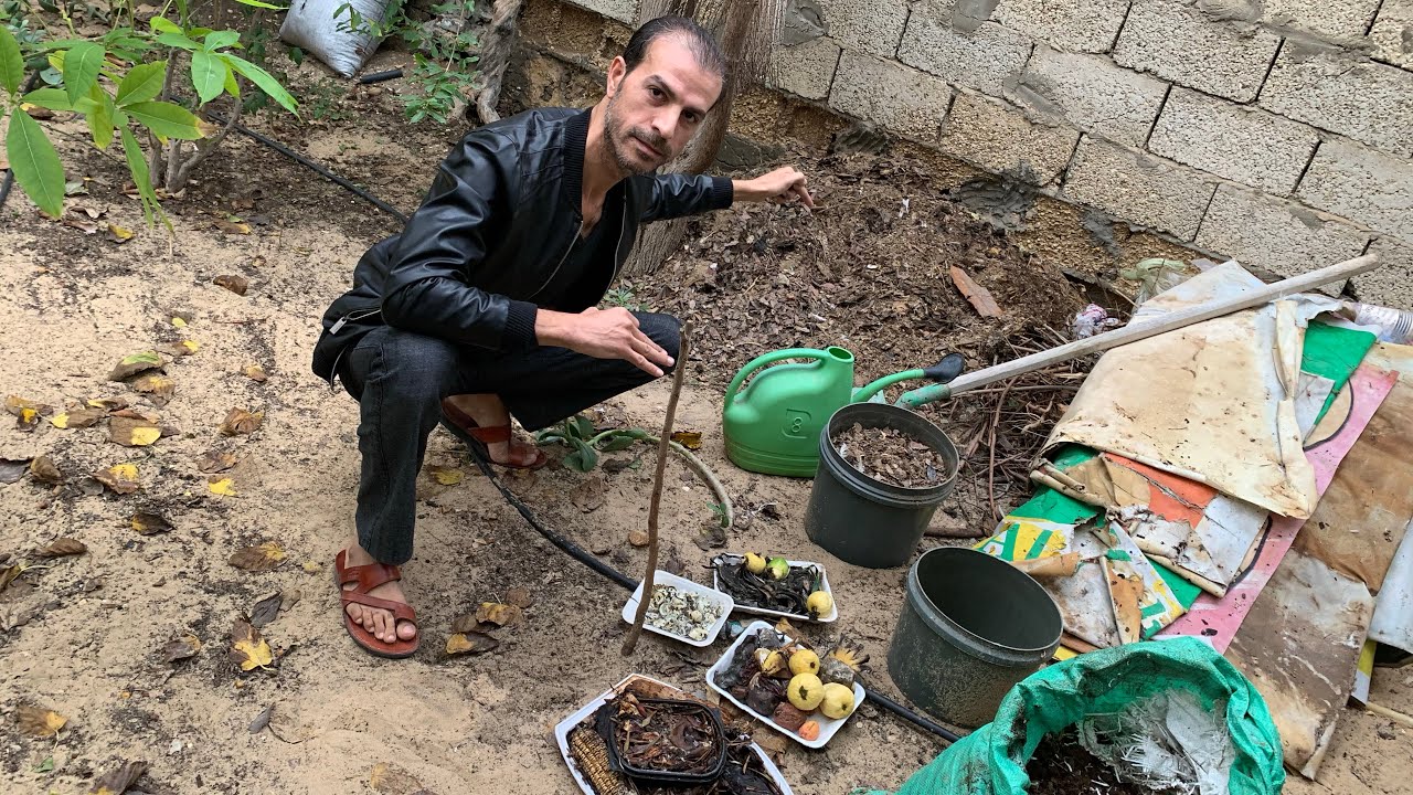 اصنع أقوي سماد عضوي طبيعي بالمنزل بثلاث طرق وبّلاش ، شرح وتطبيق عملي مفيد ومهم 👌