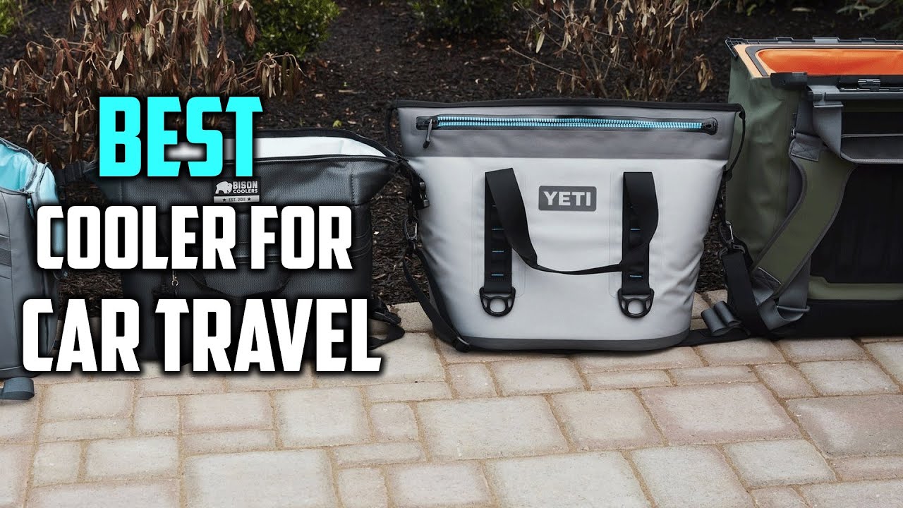 Top 5 Best Cooler for Car Travel [Review 2023] - Thermoelectric Cooler for Car Travel