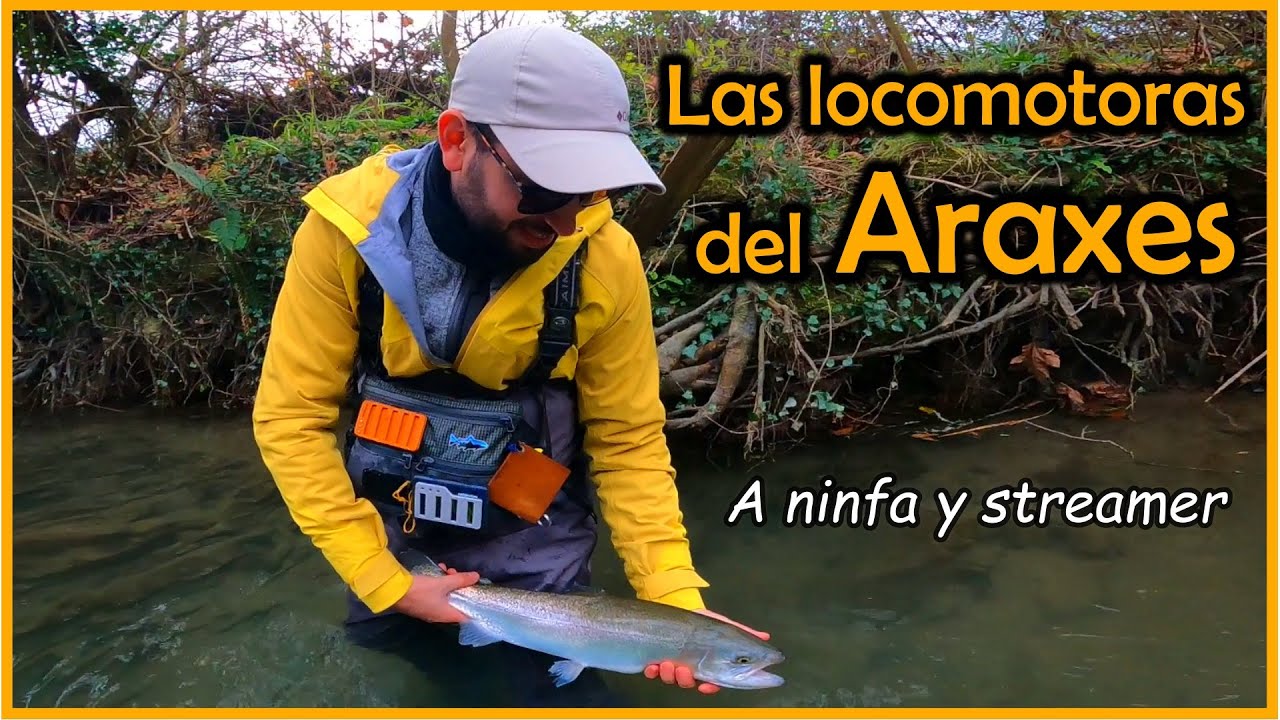 Locomotoras del Araxes. Pesca a ninfa y streamer #flyfishing #catchandrelease #trout