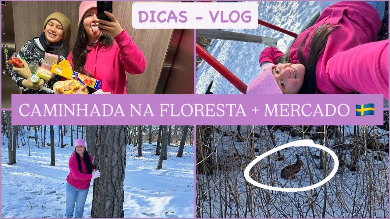 DICAS PARA REALIZAR O SEU SONHO DE CONHECER NEVE!⛄️UM COELHO SELVAGEM, PARECE CENA DE FILME• VLOG 🇸🇪