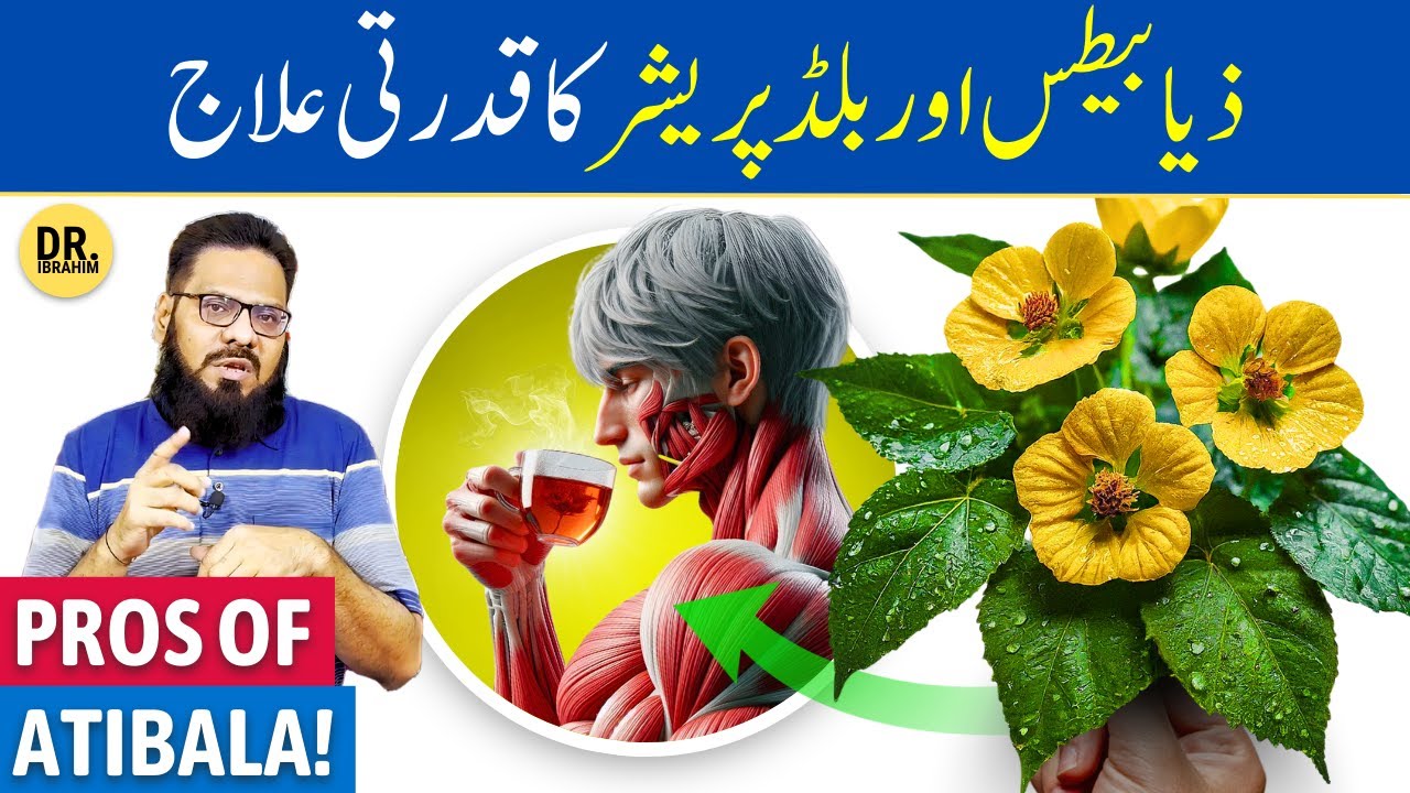 'Atibala' Ke Fayde/Istemal | Atibala's Uses/Benefits | Abutilon indicium | Dr. Ibrahim