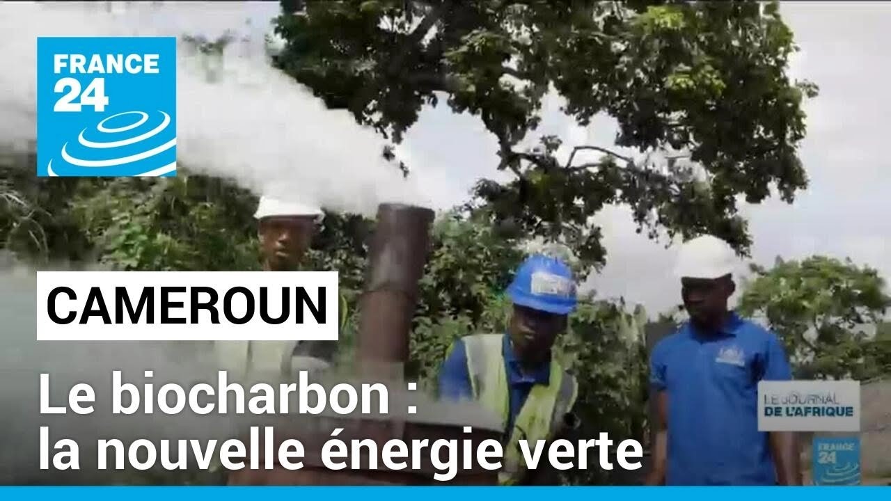 Énergie verte au Cameroun : production de biocharbon • FRANCE 24