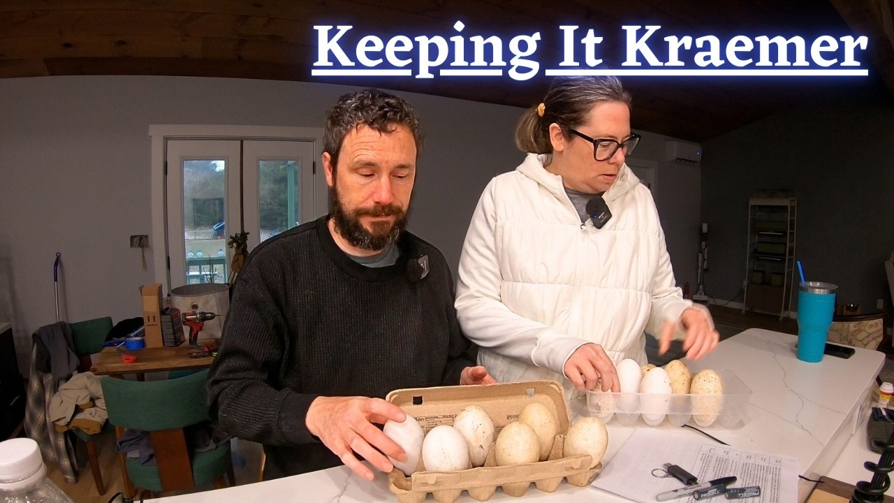 У нас проблемы | Эпизод 579 | 24 февраля 2026 г. | Keeping It Kraemer