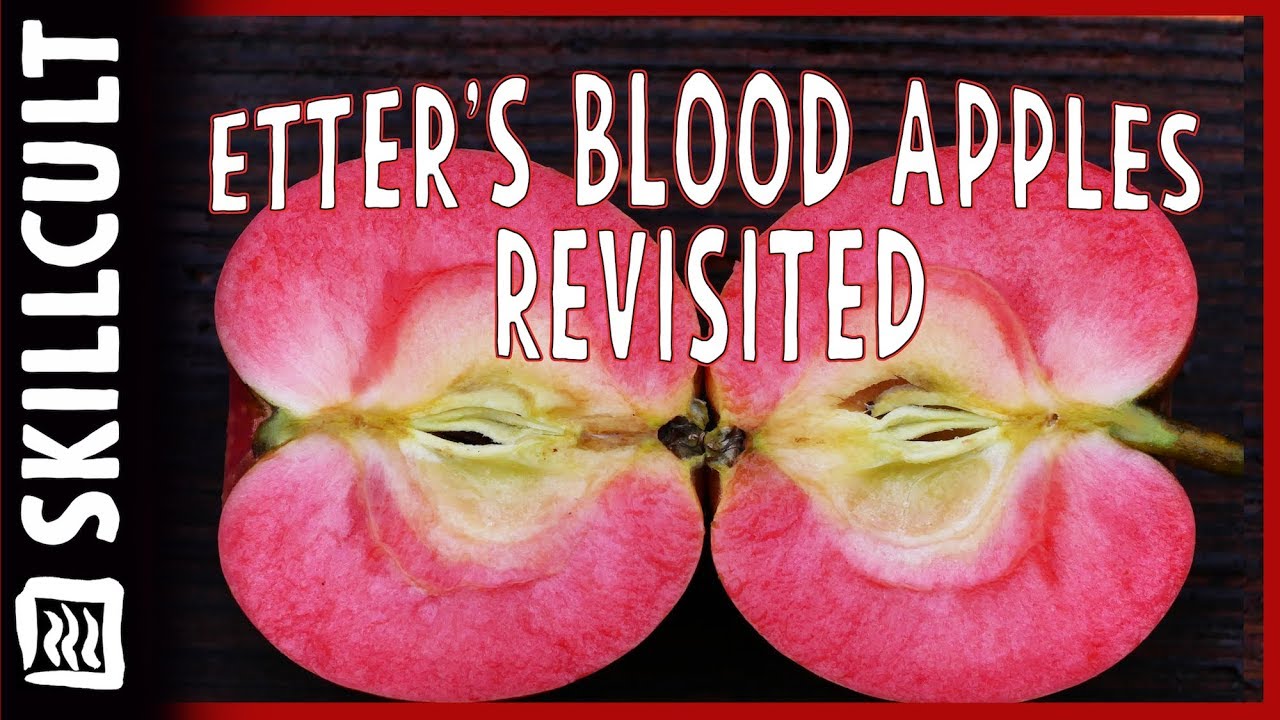 Tasting the Etter Blood Apples, Follow up, 2 Weeks Later, Red Flesh