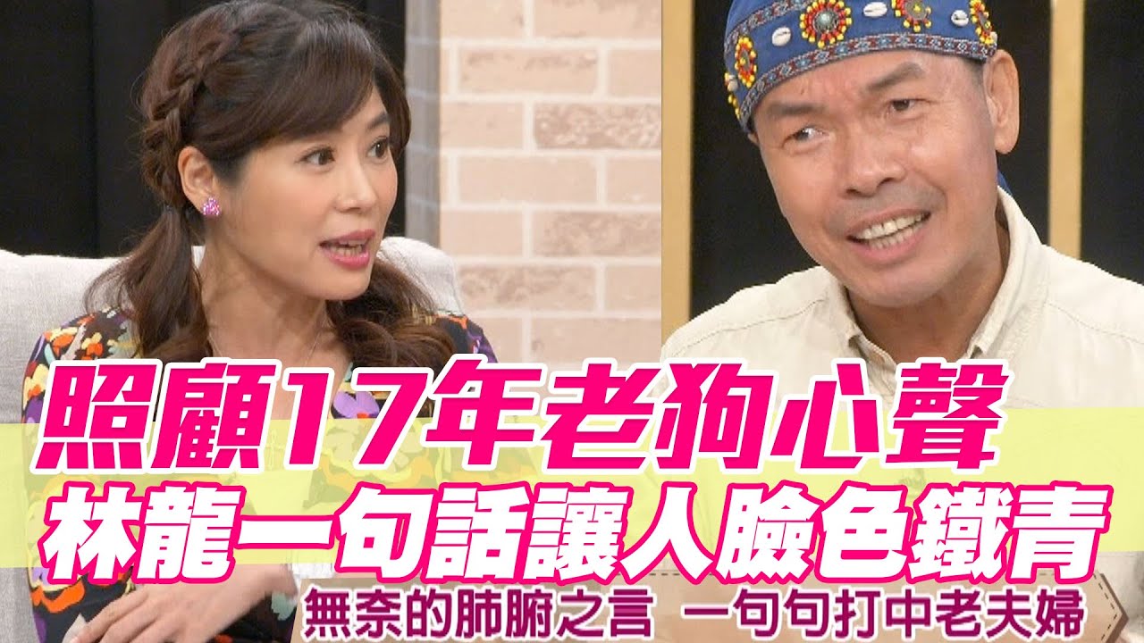 【精華版】照顧17年老狗心累！林龍一句話讓人臉色鐵青！