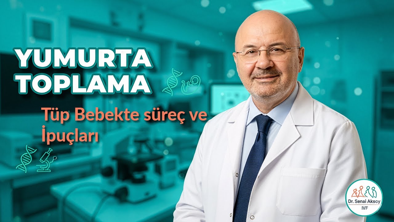 Tüp Bebekte Yumurta Toplama Süreci ve İpuçları