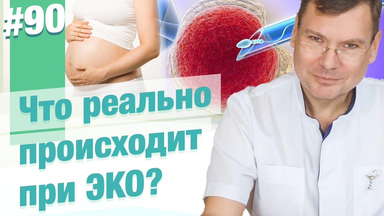 ЭКО под микроскопом: что происходит с яйцеклеткой и сперматозоидом на самом деле