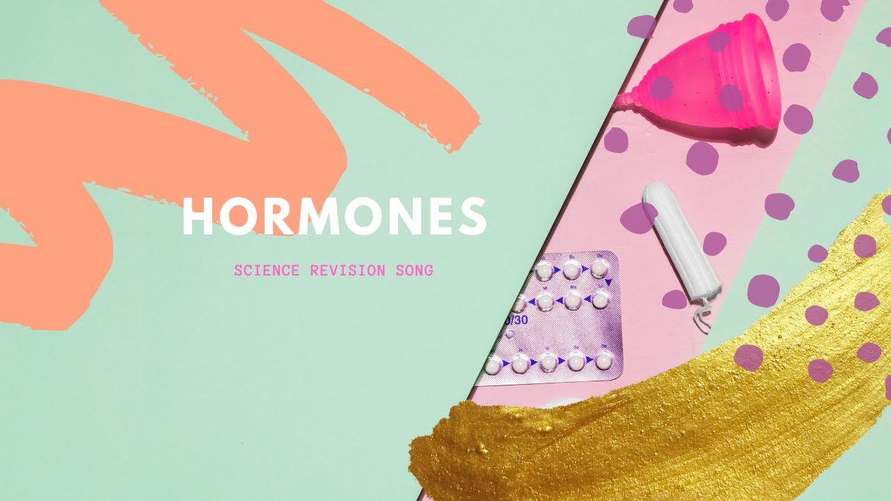 Hormones science song