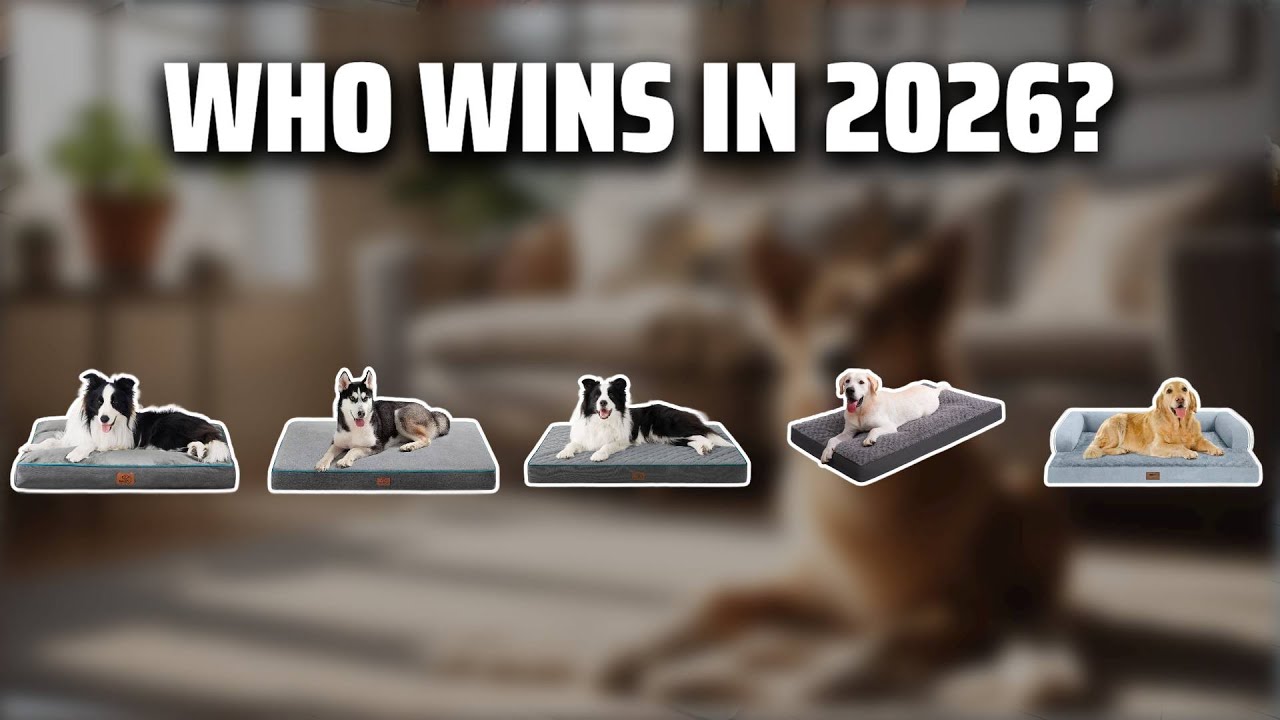 The Top 5 Best Waterproof Dog Bed in 2026 - Must Watch Before Buying!