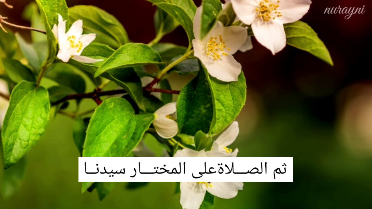 محمد الجباري |:| الحمد لله مادام الوجود له
