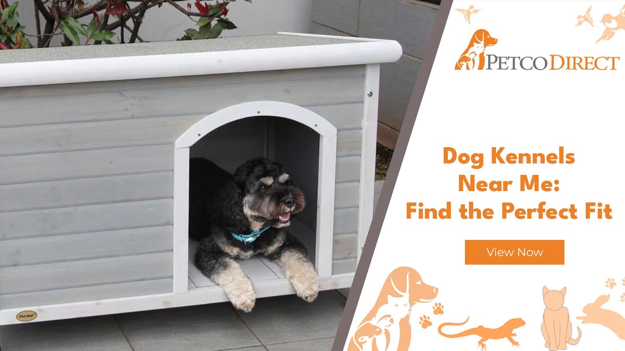 Dog Kennels Near Me | Petco Direct | Massive Range of Pet Supplies Instore and Online
