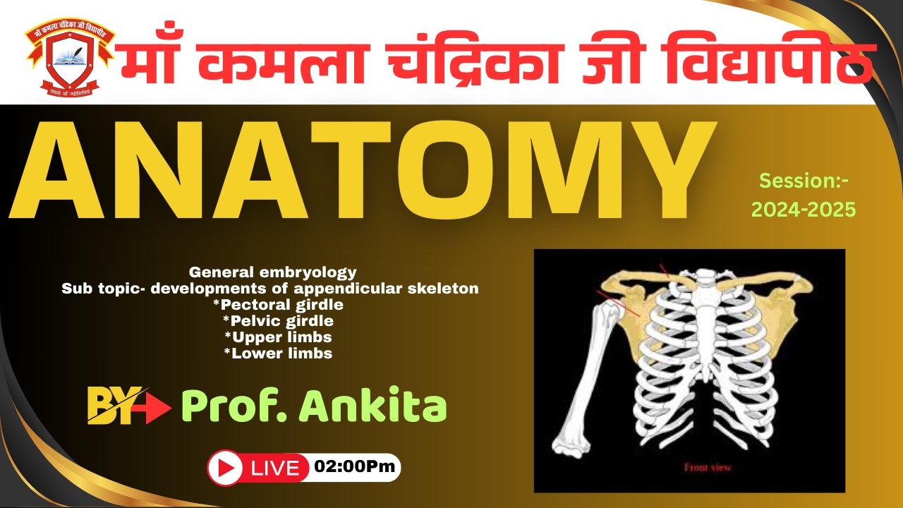 Anatomy Subject Brain(Development oF BONE 2 )By prof.ANKITA | BPT Session-2024&25 |25FEB 2026 | MKCV