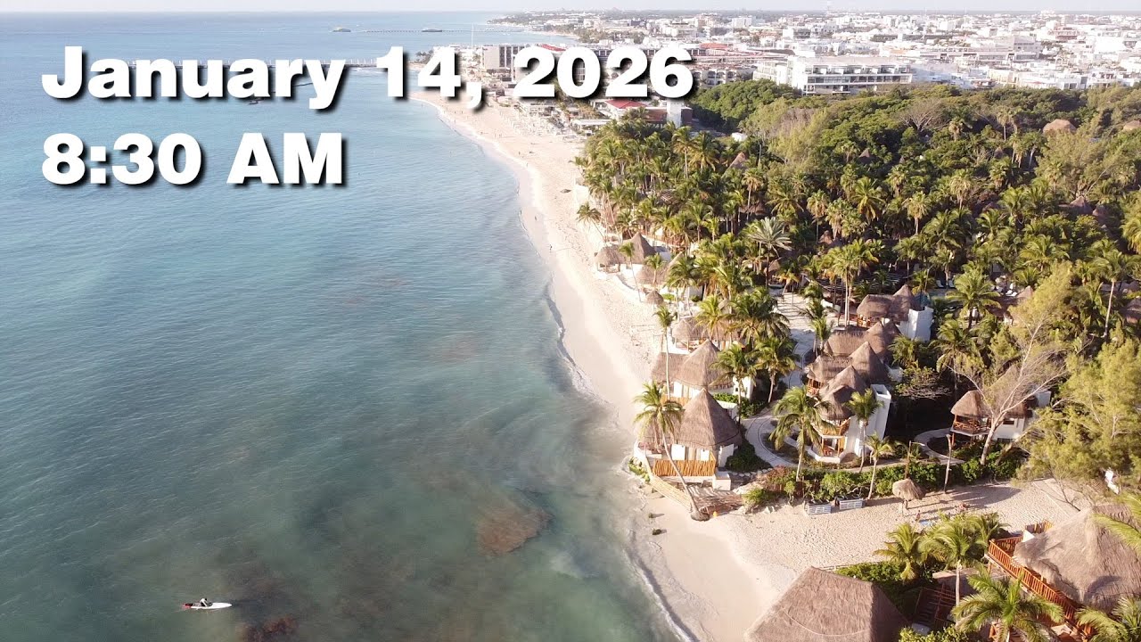 Daily Sargassum Sargasso Seaweed Report at Playa del Carmen, Mexico - January 14, 2026 #sargassum
