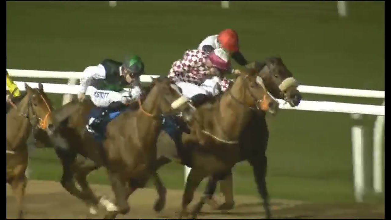 🇬🇧  19:30 Newcastle 19 Mar 2026    Juan Les Pins Wins! 🐎 Newcastle 19:30