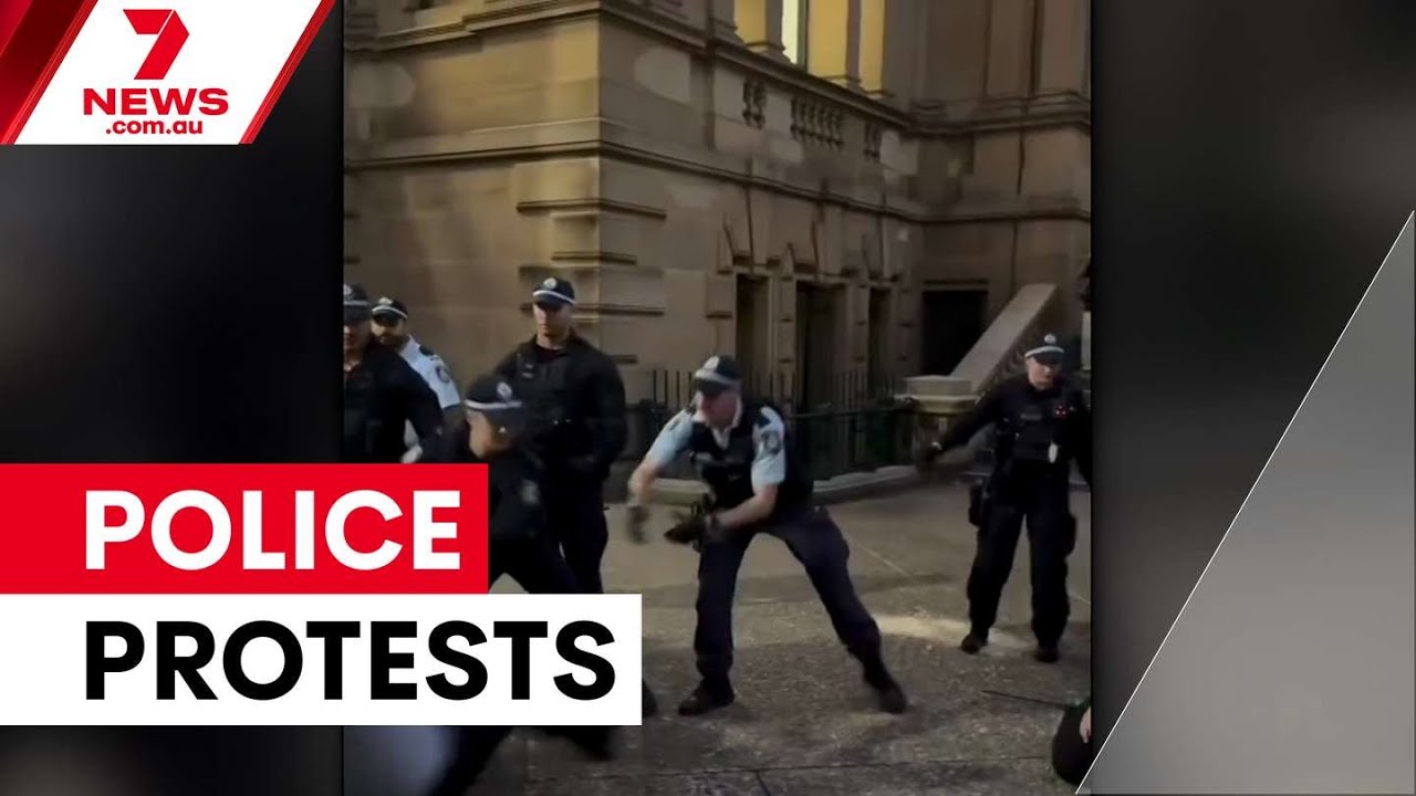 Premier defends police amid brutality claims | 7NEWS