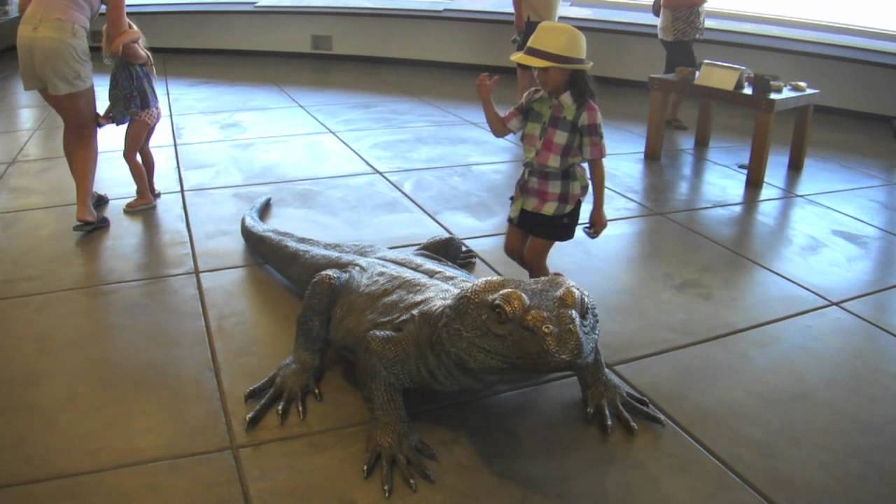 Vegas2011720p