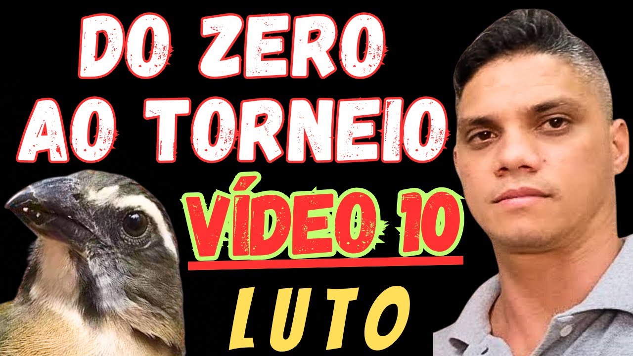 🏆MEXIDA DE TRINCA FERRO (DO ZERO AO TORNEIO VÍDEO 10)