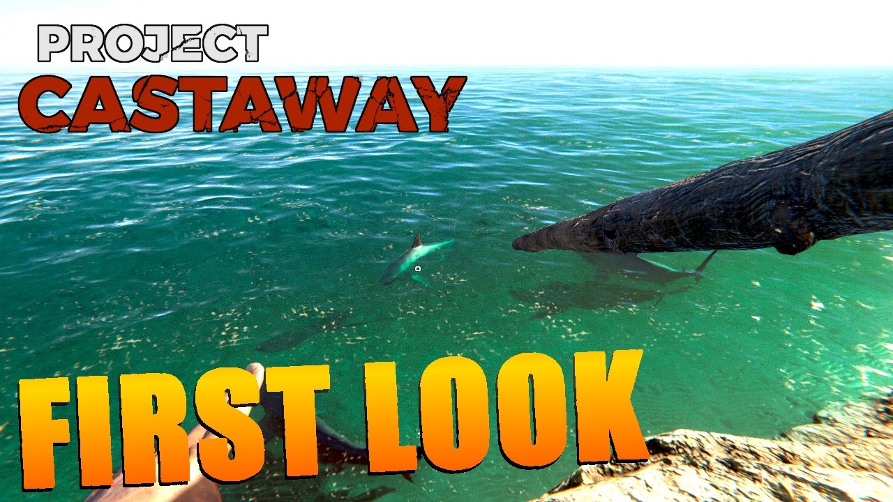 Project Castaway - Gameplay