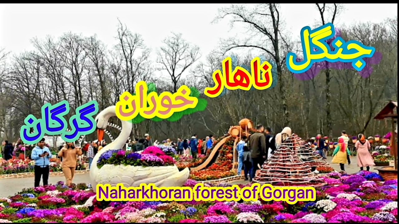 گرگان منطقه جنگلی ناهار خوران زیبا دیدنی وهزار پیچ iran Gorgan, Naharkhoran Hazarpich forest area