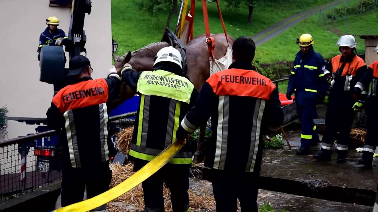 Pferd in der Grube - Tierrettung in Schollbrunn