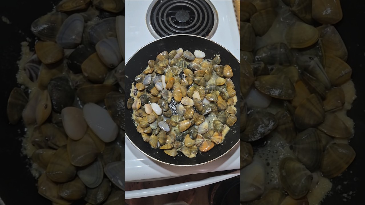 Beach Foraging and Cook Up!  Wild Pippi Catch and Cook