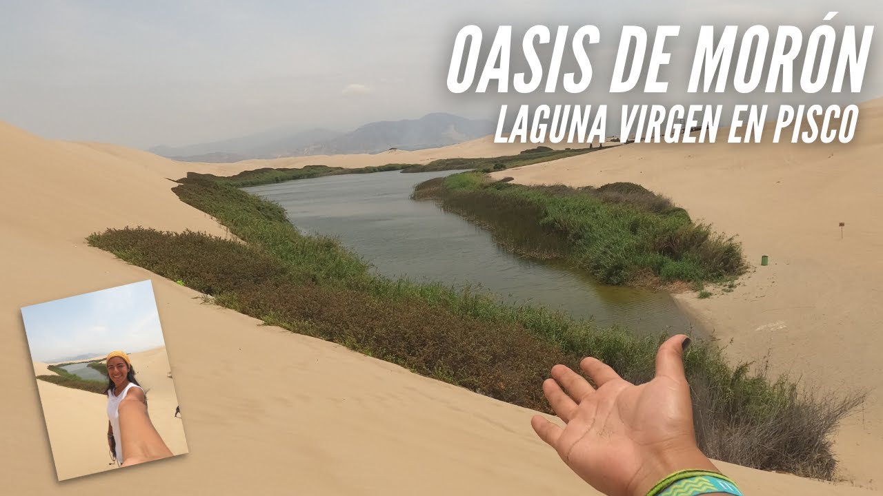 Vamos al Oasis escondido de Pisco OASIS MORÓN | Región Ica | #ENRUTAPORELPERU