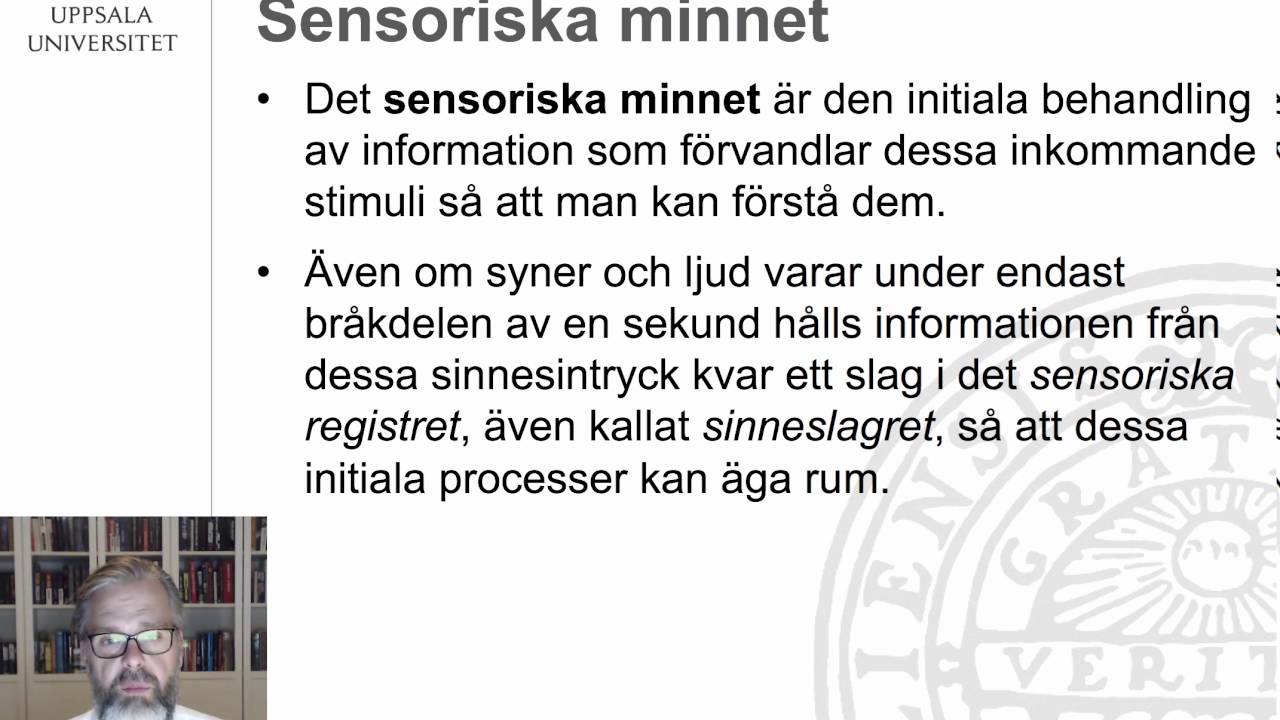 Kognitiva synsätt på minnet - Martin Karlberg - EDU