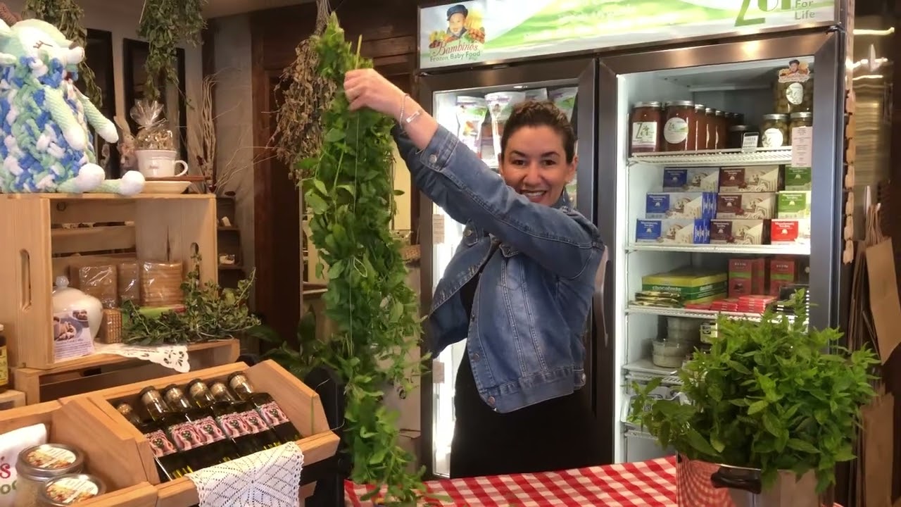 How to dry fresh mint and store for winter