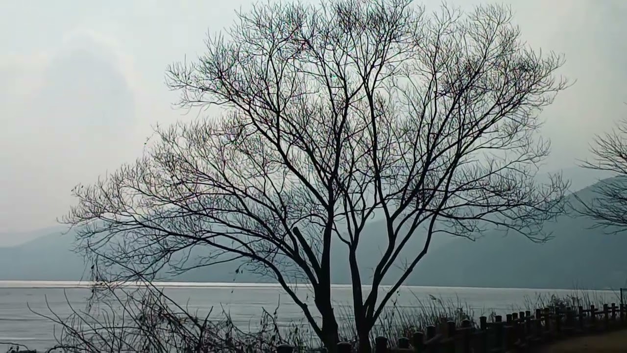 다산생태공원의 겨울