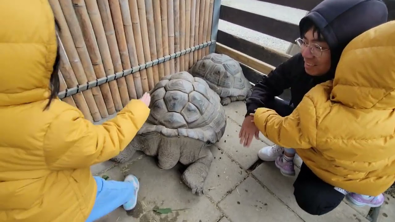 【新竹-廢物媽媽育兒農場】預約制！簡單空間和動物近距離互動(媞5Y3M22D、喬3Y9M22D)