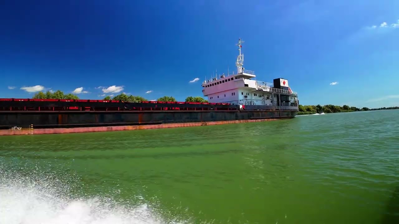 Delta of Danube