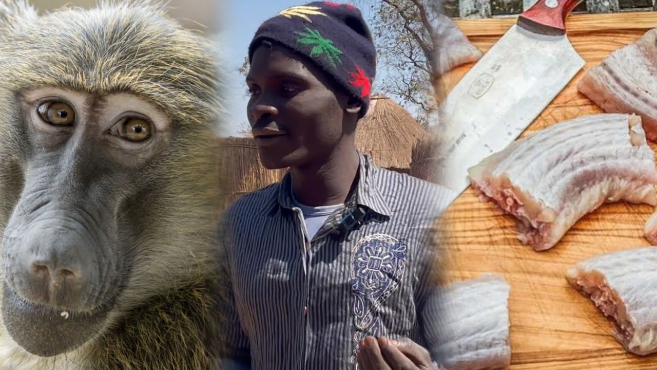 MUKOMANA WECHIDIKI ANORARAMA NEKUDYA NYOKA NEMAKUDO NYAMA IYI INOMUNAKIRA  ACHIDYA NYOKA NE RICE