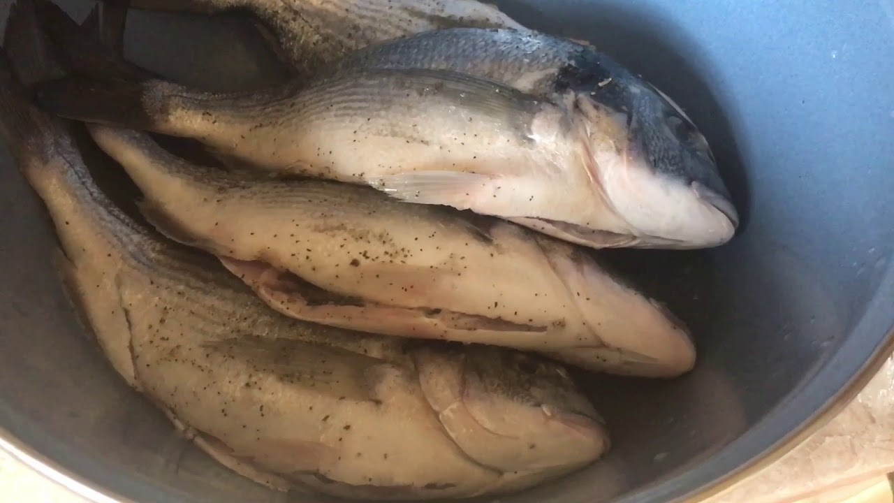 Рыба на костре / выходные на даче