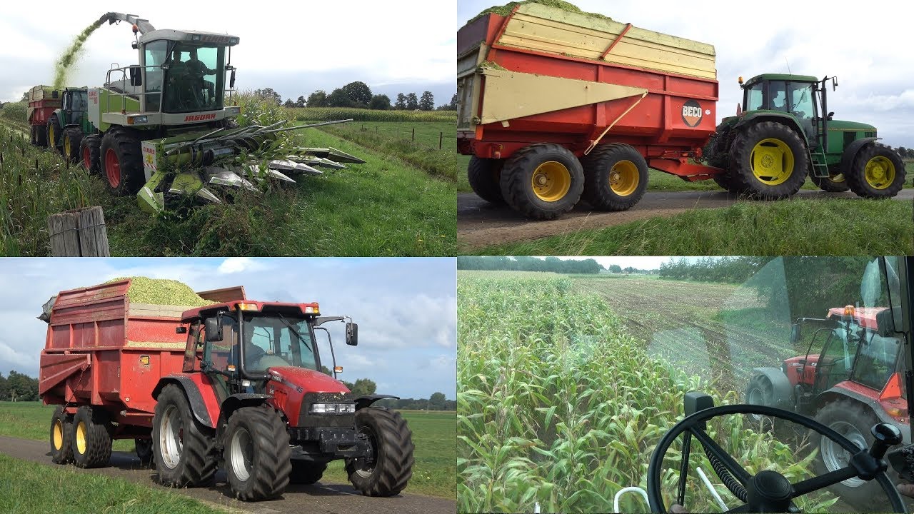Mais hakselen met Claas Jaguar 860 + 6 rij kettingbek, Case IH JXU 85 en 2 John Deere 6900 (2019)