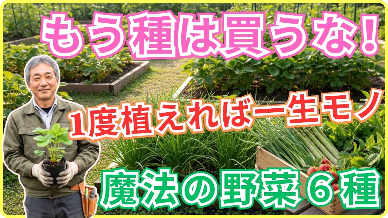 【初心者でも成功】植えたら毎年勝手に増える…「1度だけ」植えれば何年も収穫し続けられる最強宿根野菜6選！プロだけが知る育て方の秘密、教えます。