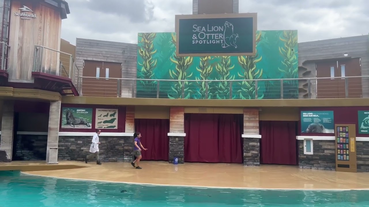 Sea World - Sea Lion & Otter Spotlight (Vacaciones 2024) - part 2