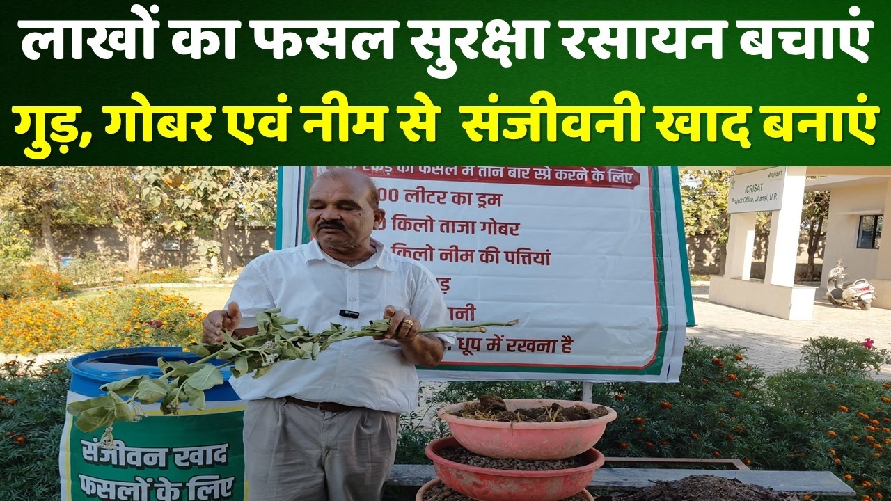 संजीवनी बनाएं रुपया बचाएं एवं जीवन भी बचाएं। 